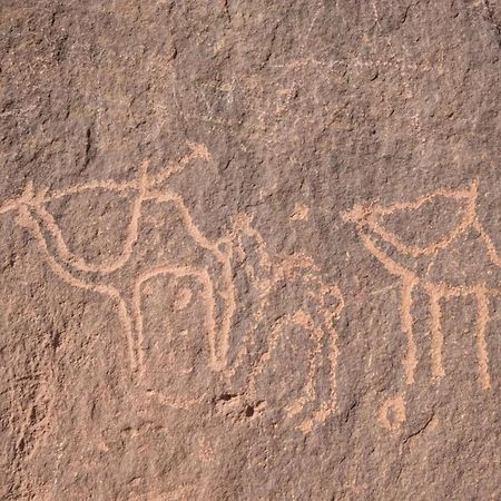Wadi Rum Albasli Εξωτερικό φωτογραφία
