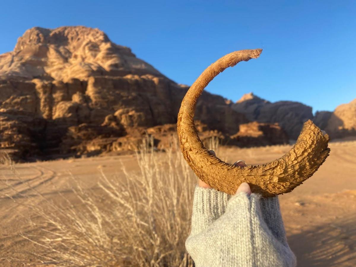 Wadi Rum Albasli Εξωτερικό φωτογραφία