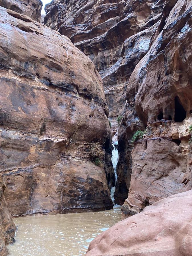 Wadi Rum Albasli Εξωτερικό φωτογραφία
