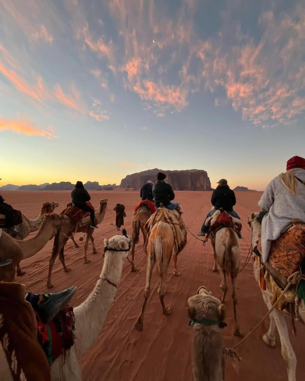 Wadi Rum Albasli Εξωτερικό φωτογραφία