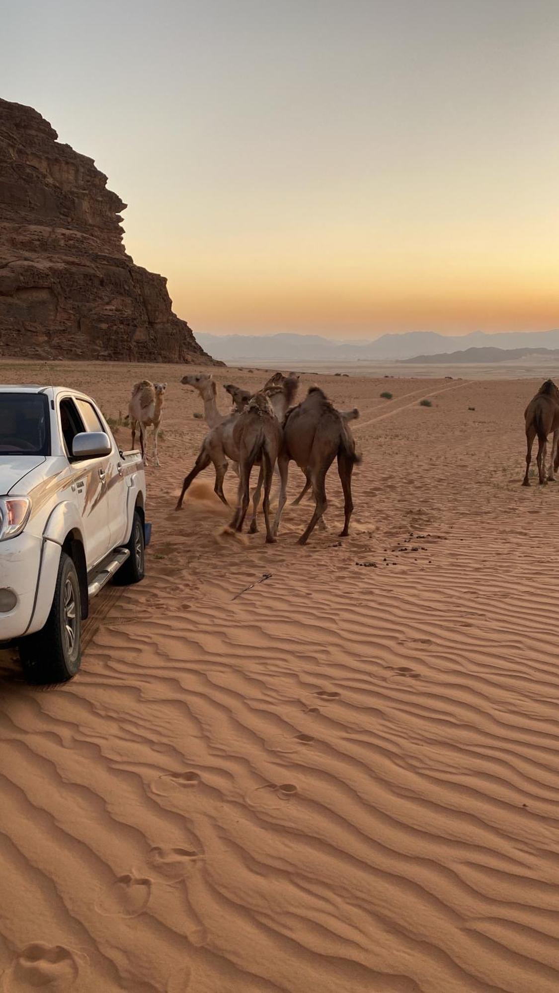 Wadi Rum Albasli Εξωτερικό φωτογραφία