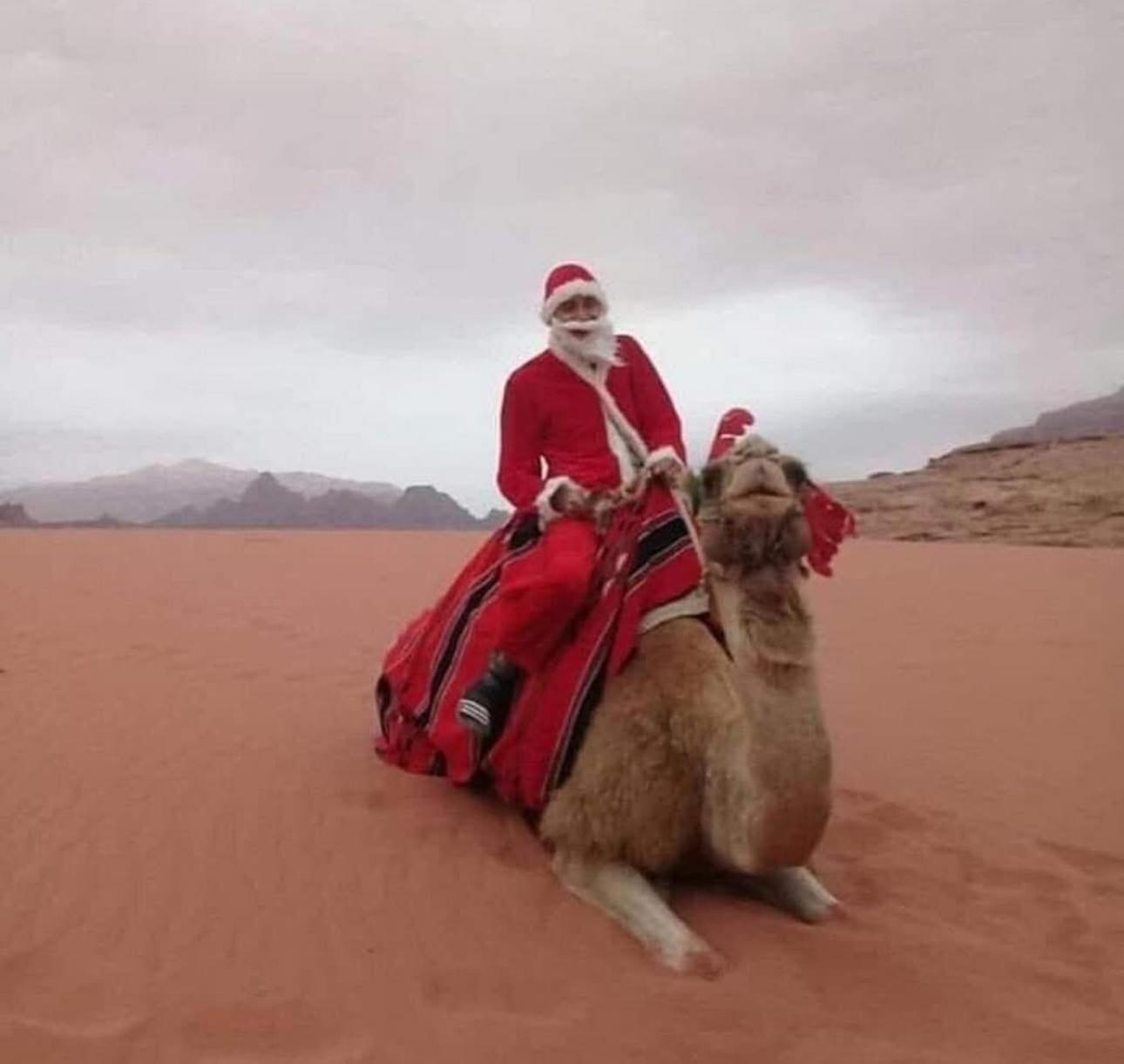 Wadi Rum Albasli Εξωτερικό φωτογραφία