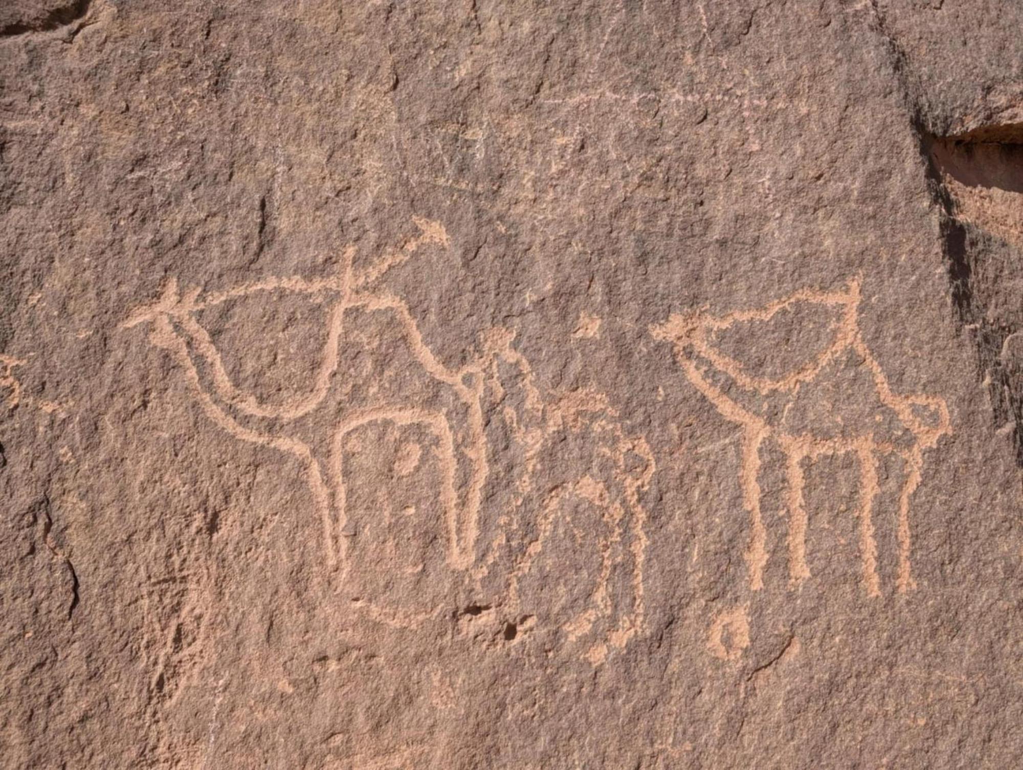 Wadi Rum Albasli Εξωτερικό φωτογραφία